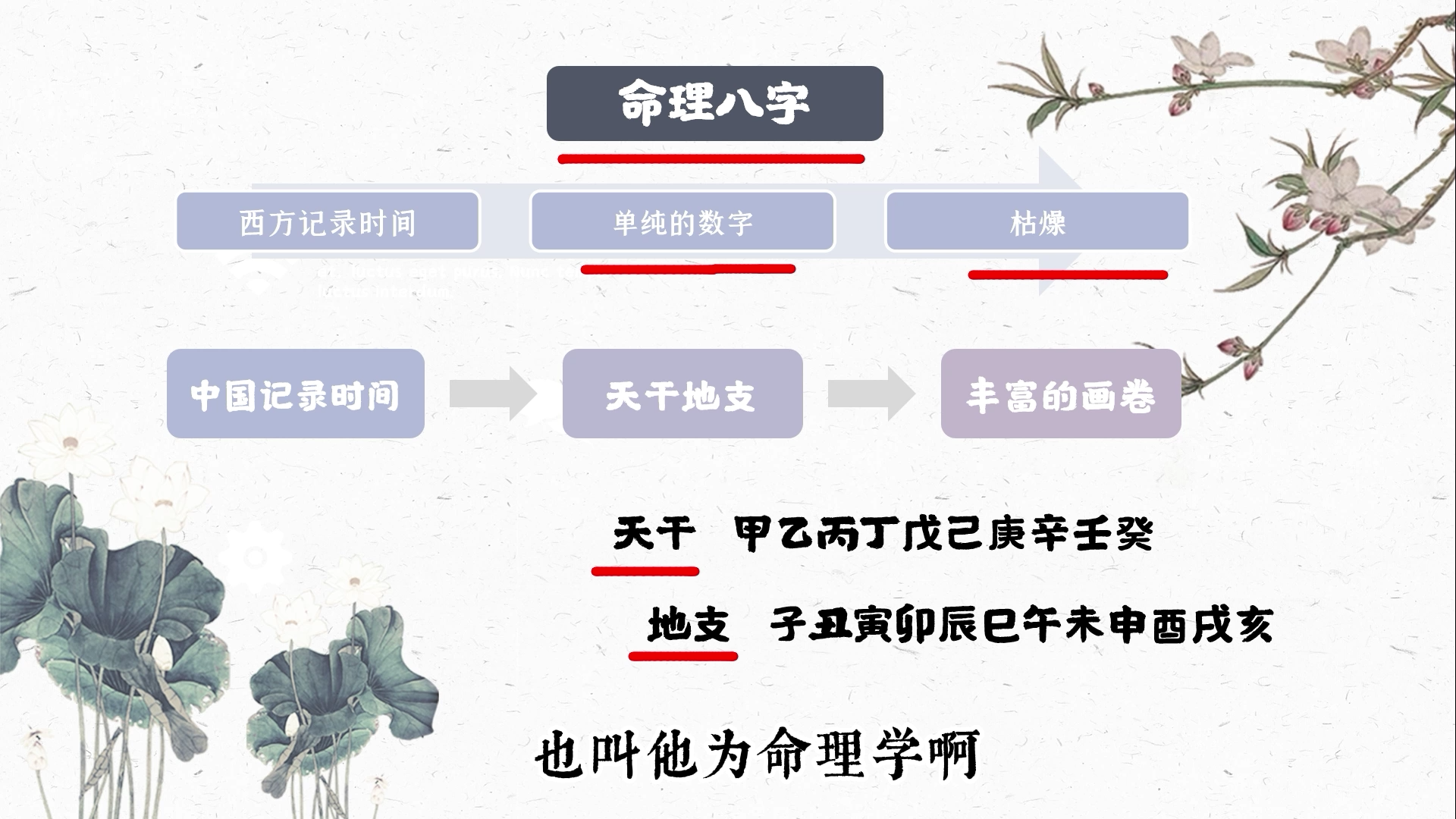 图片[3]-第二课 追根溯源—到底什么是八字？学会八字有什么用？-易学内部培训