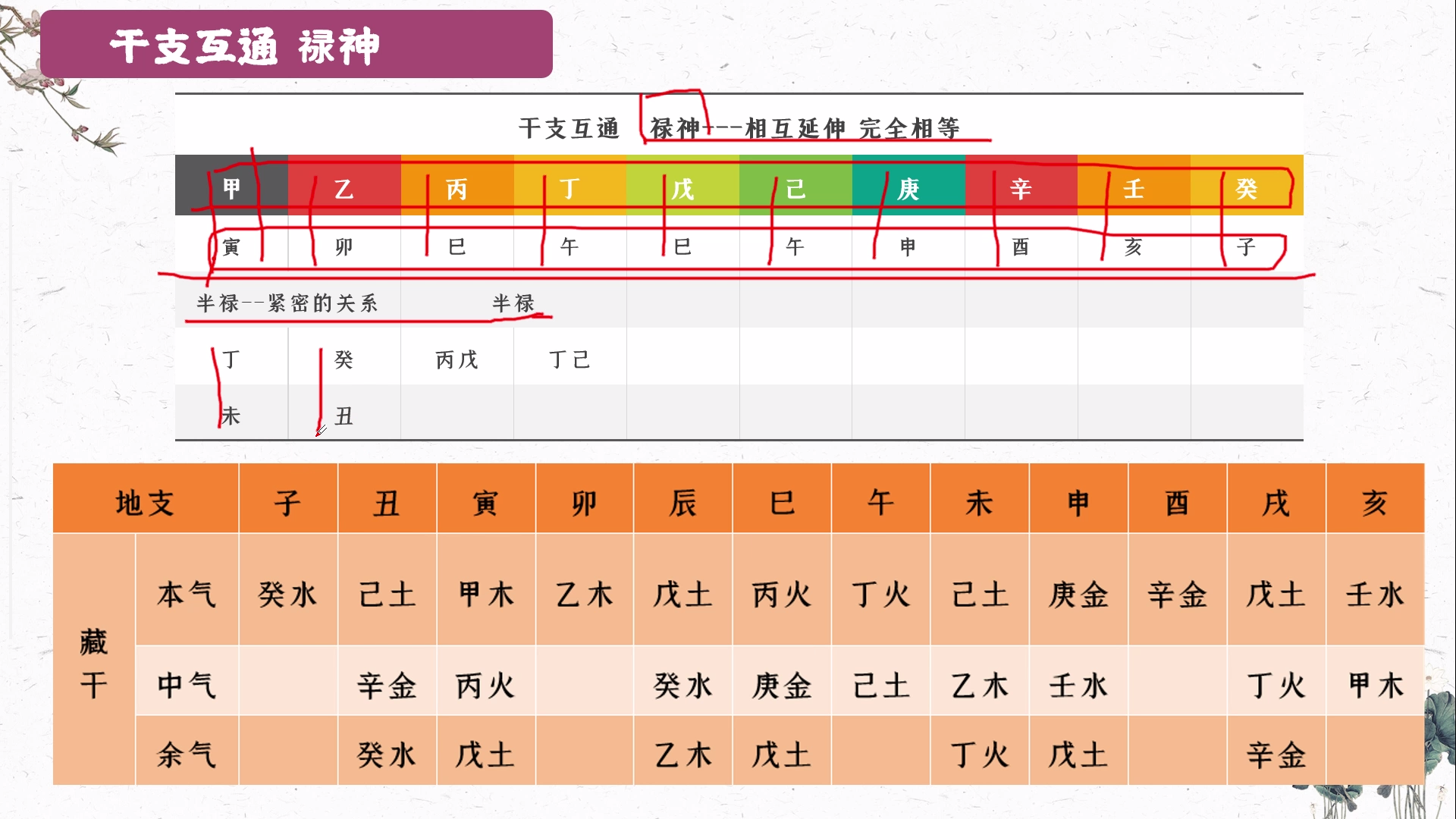 第二十三课 天干与地支的关系,干支互通,相合,暗合-易学内部培训