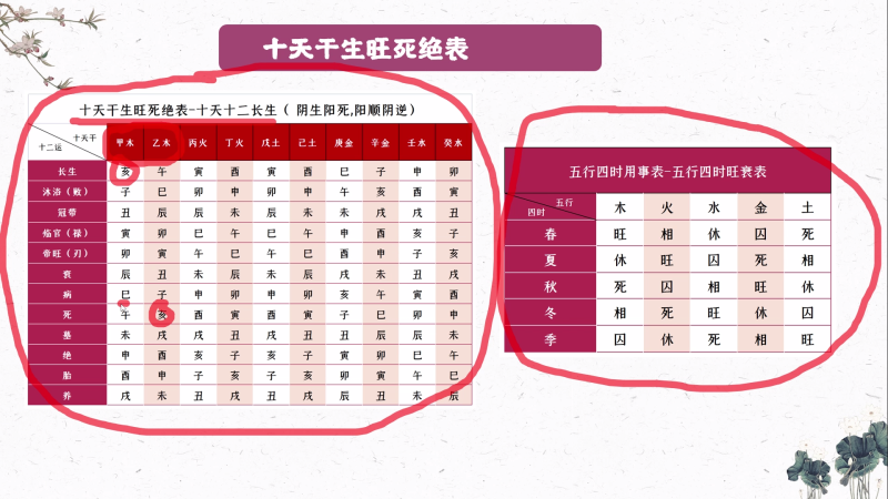 第二十四课 五行旺衰的初始状态-易学内部培训